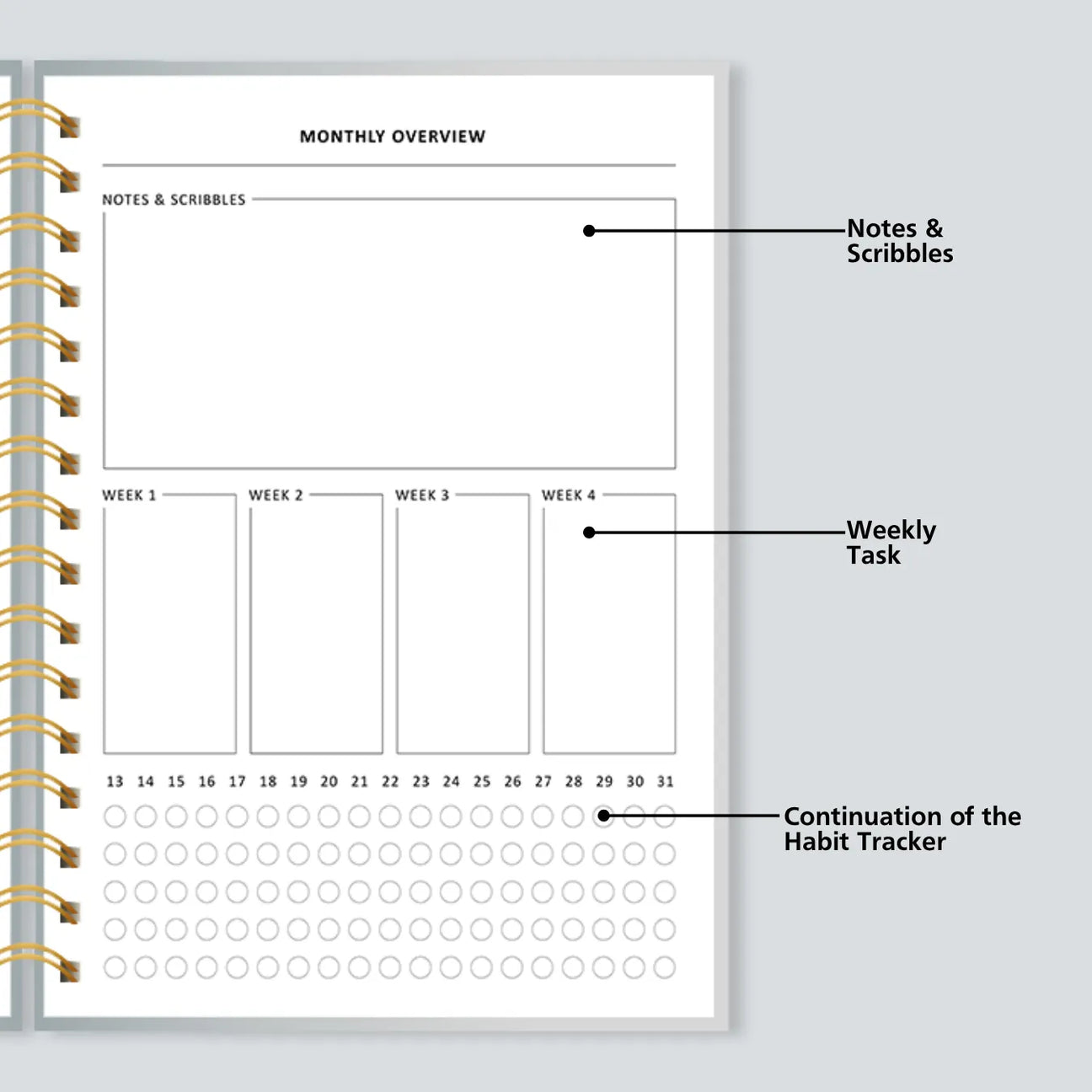 Daily Schedule Layout